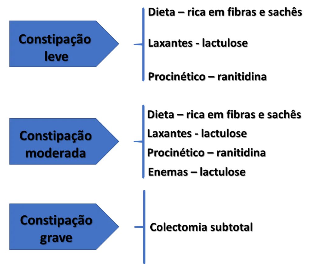 Manejo_do_gato_constipado_segundo_o_grau_de_constipacao_2025.png