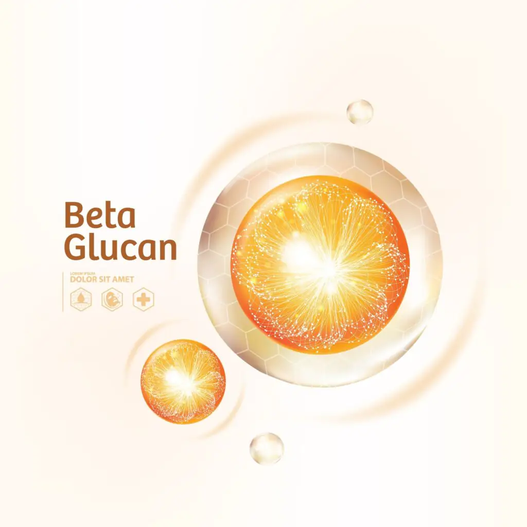 Beta-glucanos_2025.webp
