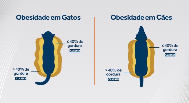 Obesidade em cães e gatos: classe I (igual ou menor que 40% de gordura), classe II (maior que 40% de gordura).